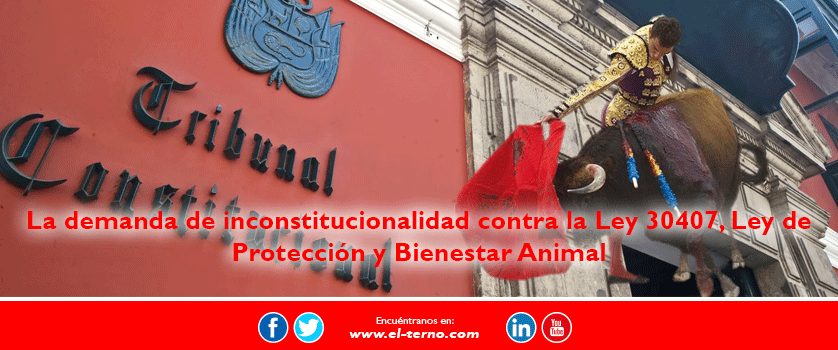 Sentencia: Caso Arlette Contreras