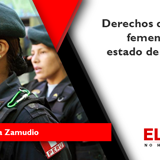 Derechos del personal femenino PNP en  estado de gestación y lactancia
