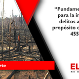 Fundamento material para la imputación en delitos ambientales a propósito de la casación 455-2017 Pasco