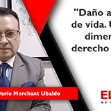 Daño al proyecto de vida. Una nueva dimensión en el derecho de daños 
