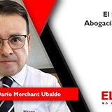 El Ejercicio de la Abogacía en el Futuro 