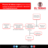 Proceso de divorcio por causal (Primera Instancia)